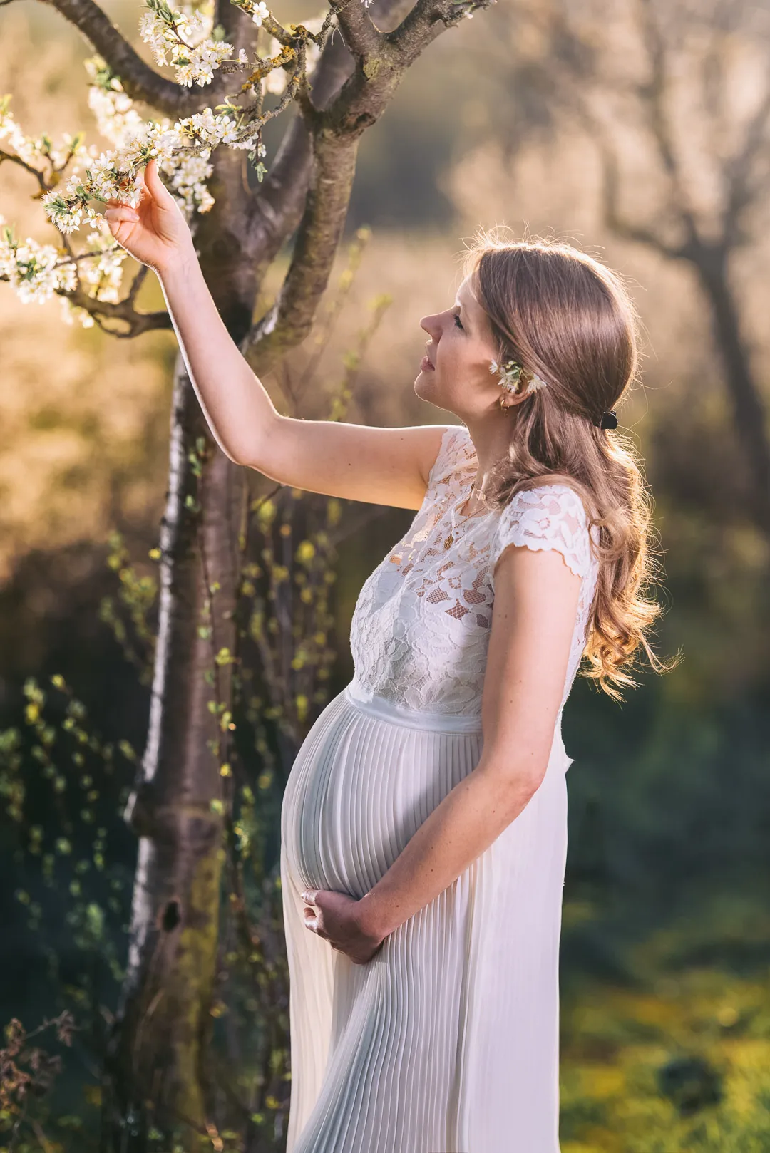 hochzeitsfotograf-wolfsburg-braut-mit-babybauch Eine schwangere Braut in einem weißen Kleid steht an einem Kirschbaum und betrachtet die Blüten